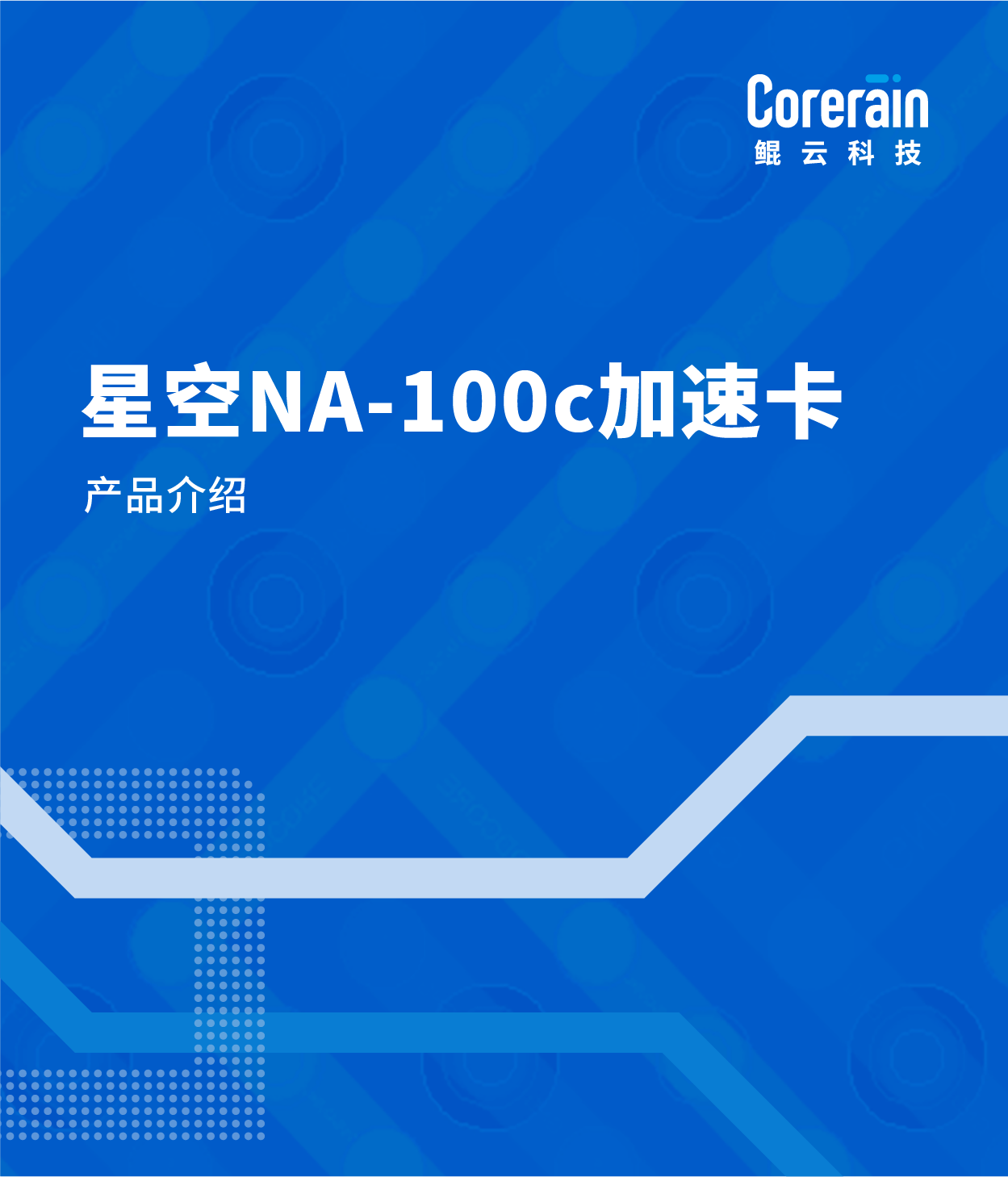 星空NA-100c加速卡產(chǎn)品介紹